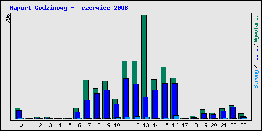 Raport Godzinowy -  czerwiec 2008