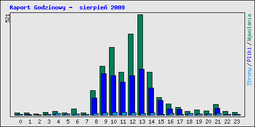 Raport Godzinowy -  sierpie� 2009