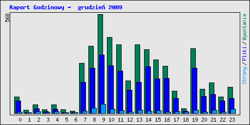 Raport Godzinowy -  grudzie� 2009