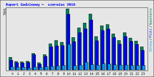 Raport Godzinowy -  czerwiec 2016
