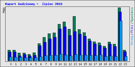 Raport Godzinowy -  lipiec 2016