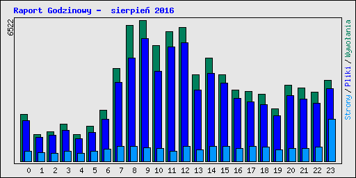 Raport Godzinowy -  sierpie� 2016