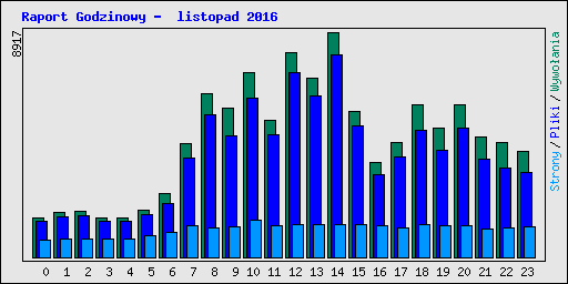 Raport Godzinowy -  listopad 2016