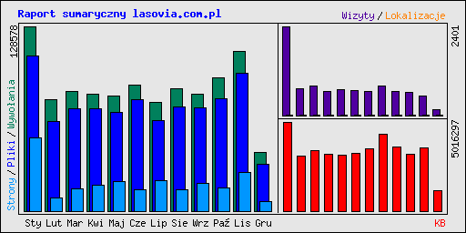 Raport sumaryczny lasovia.com.pl